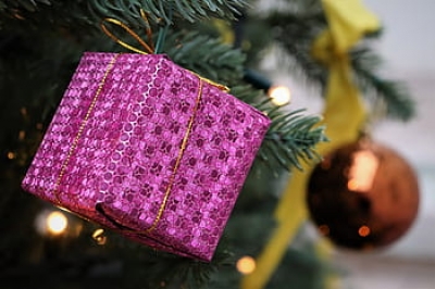 Un regalo al ambiente esta Navidad